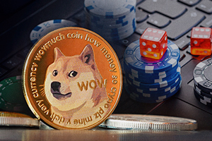 Doge Casino
